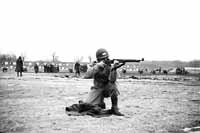 735th Ordnance Light Maintenance Company collection