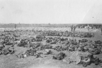 German casualties